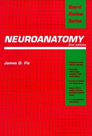 Neuroanatomy