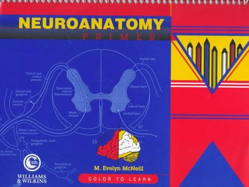 Neuroanatomy
