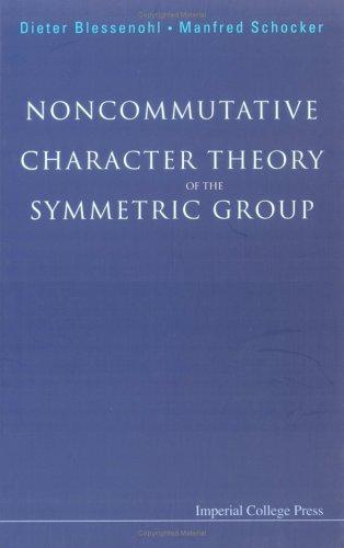 Noncommutative character theory of the symmetric group