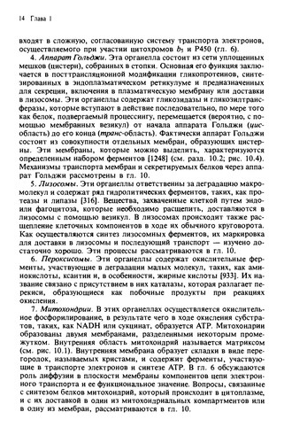 Биомембраны.Молекулярная структура и функции