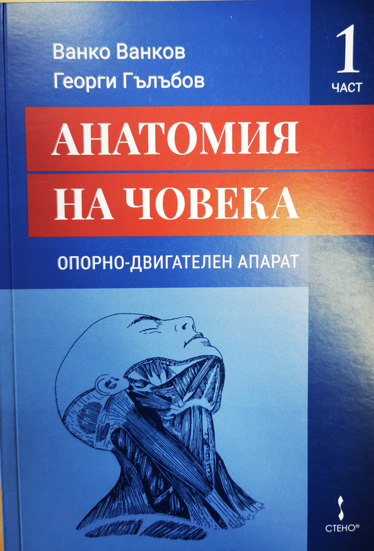 Анатомия на човека