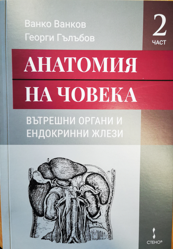 Анатомия на човека