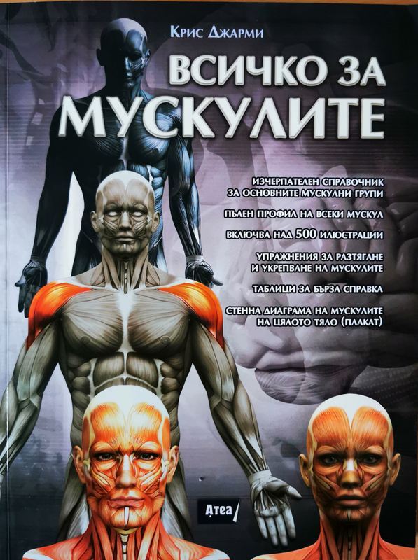 Всичко за мускулите