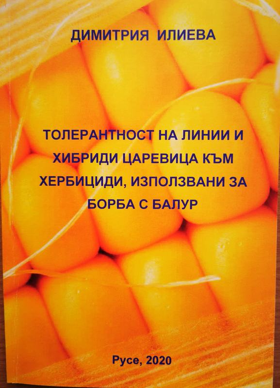 Толерантност на линии и хибриди царевица към хербициди, използвани за борба с балур