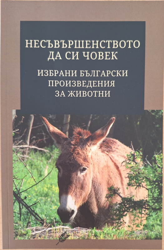 Несъвършенството да си човек