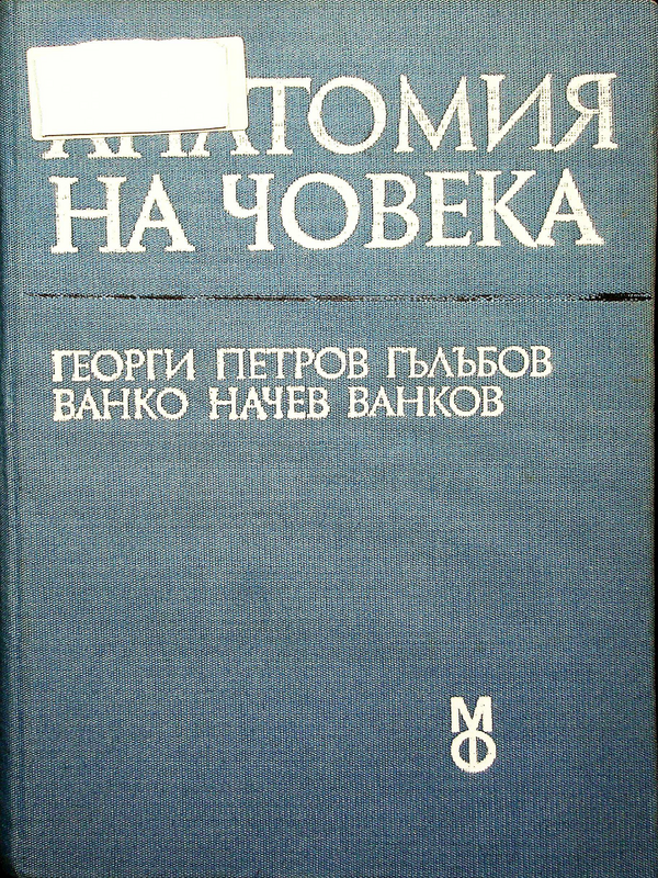 Анатомия на човека